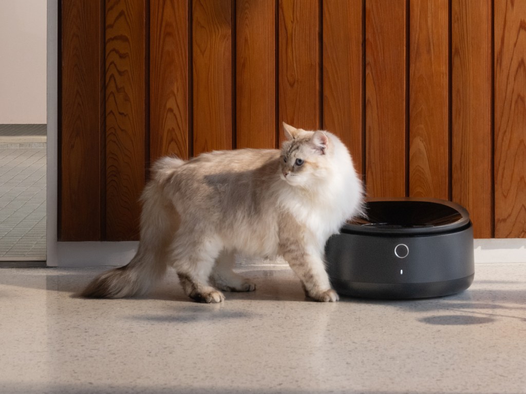 Petlibro의 새로운 스마트 냉장습식사 피더는 고양이가 받아야 할 것입니다